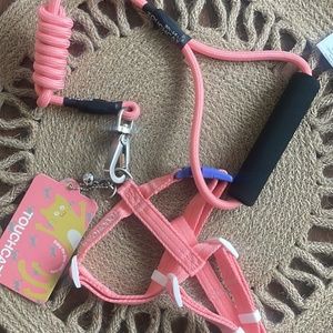 ToucCat Leash and harness